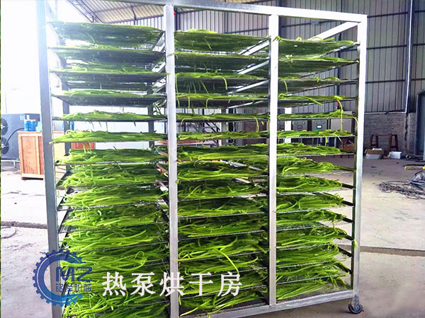 豆角熱泵烘干房客戶現(xiàn)場