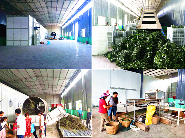 小型辣椒烘干機