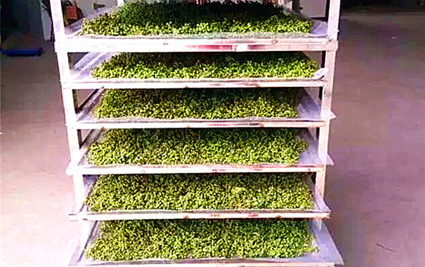 小型辣椒烘干機